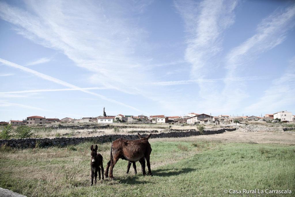 Casa Rural La Carrascala Zamora Exteriör bild