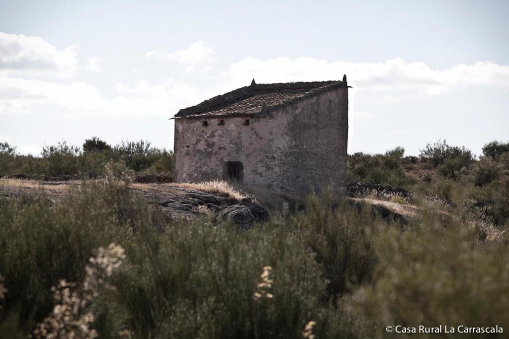 Casa Rural La Carrascala Zamora Exteriör bild